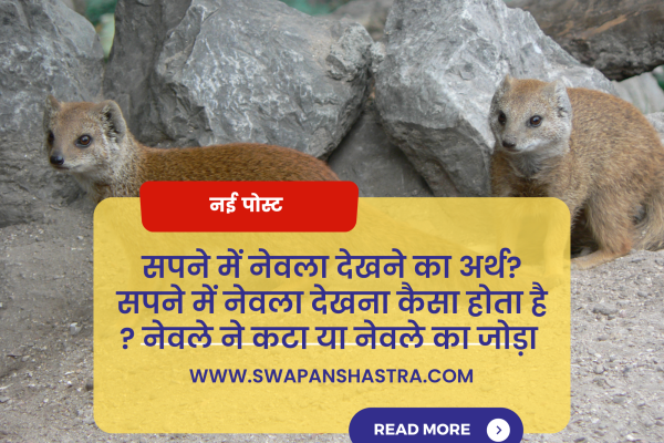 mongoose in dream in hindi