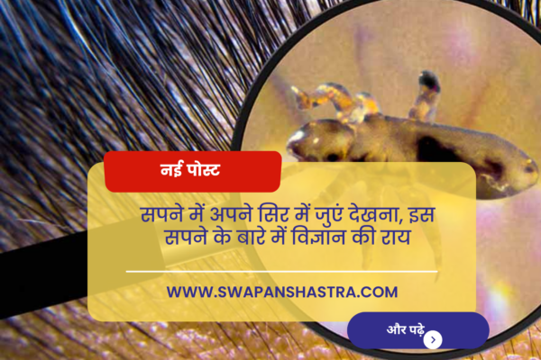 सपने में अपने सिर में जुएं देखना या इस सपने के बारे में विज्ञान की राय सपने में अपने सिर में जुएं देखना